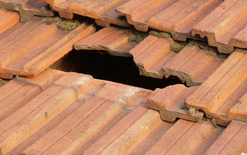 roof repair Tamerton Foliot, Devon