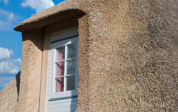Tamerton Foliot thatch roof disadvantages