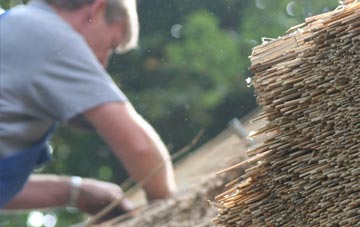 professional Tamerton Foliot thatchers